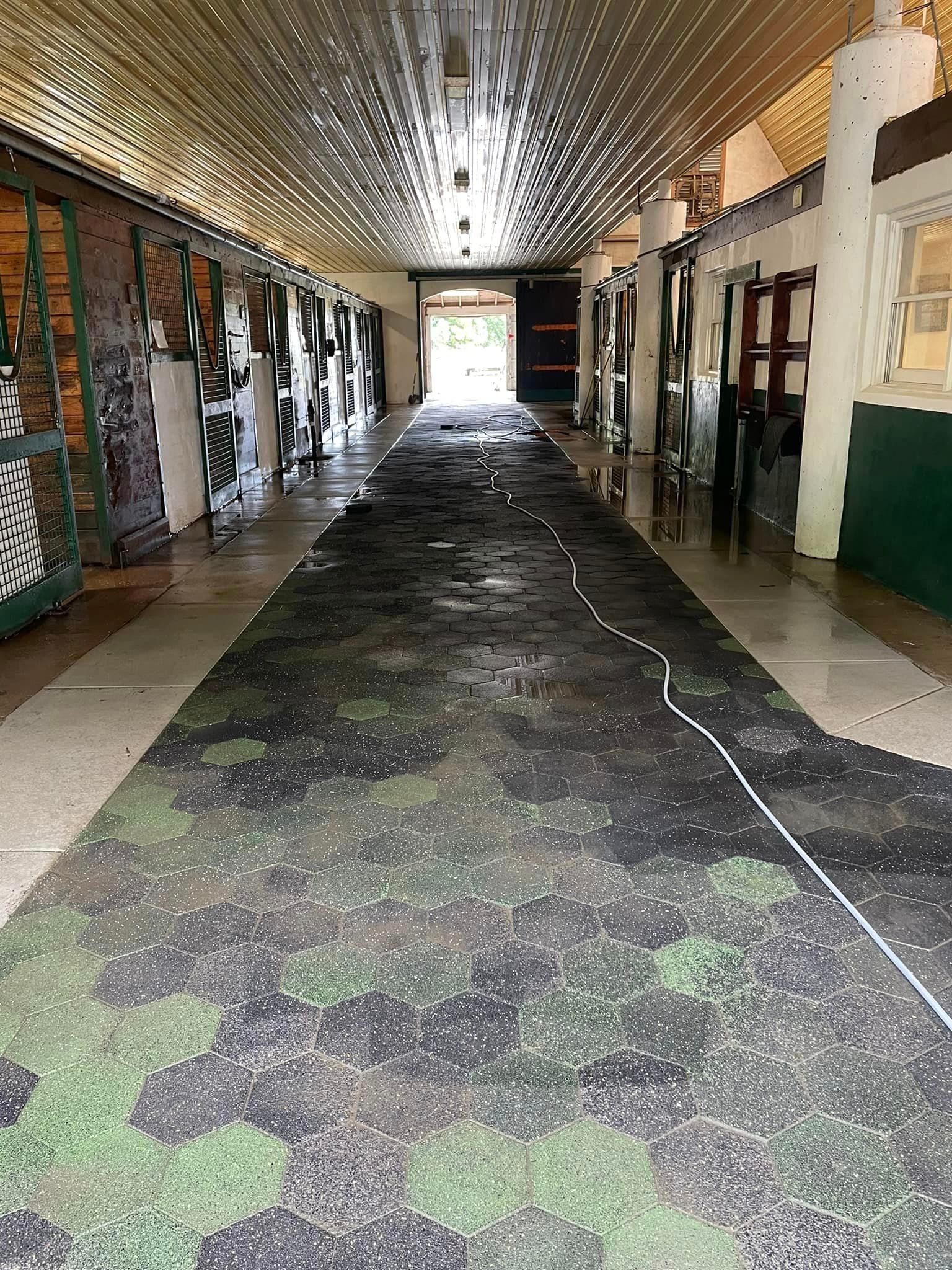 A long hallway in a building with a camouflage rug on the floor.