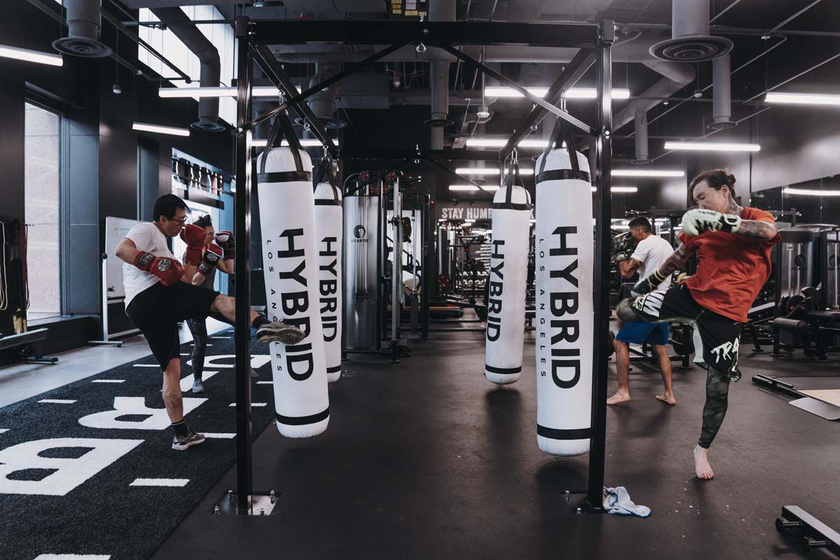 A group of people are practicing martial arts in a gym.
