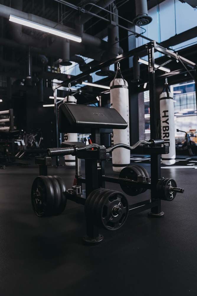 A gym with a lot of dumbbells and a bench.