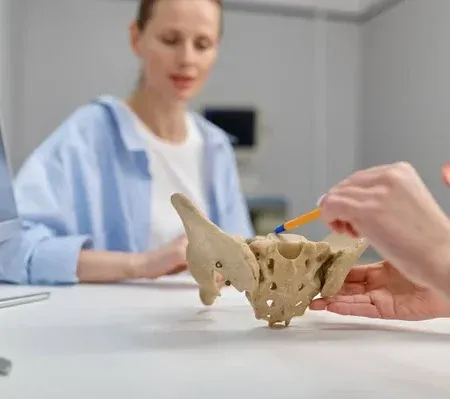 Doctor pointing at a sacrum model, explaining to a patient in a doctor's office.