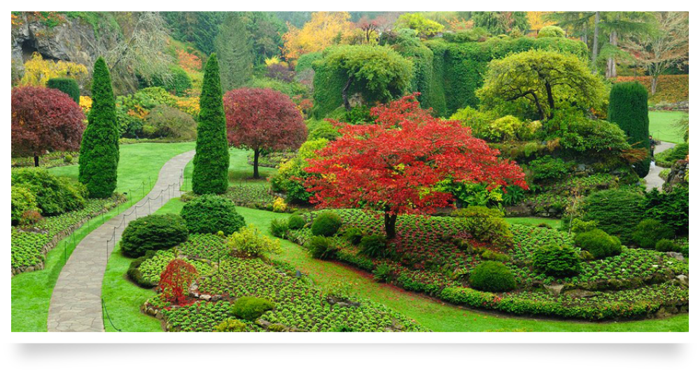 Galbraith Landscape Landscaping Scotch Plains, NJ