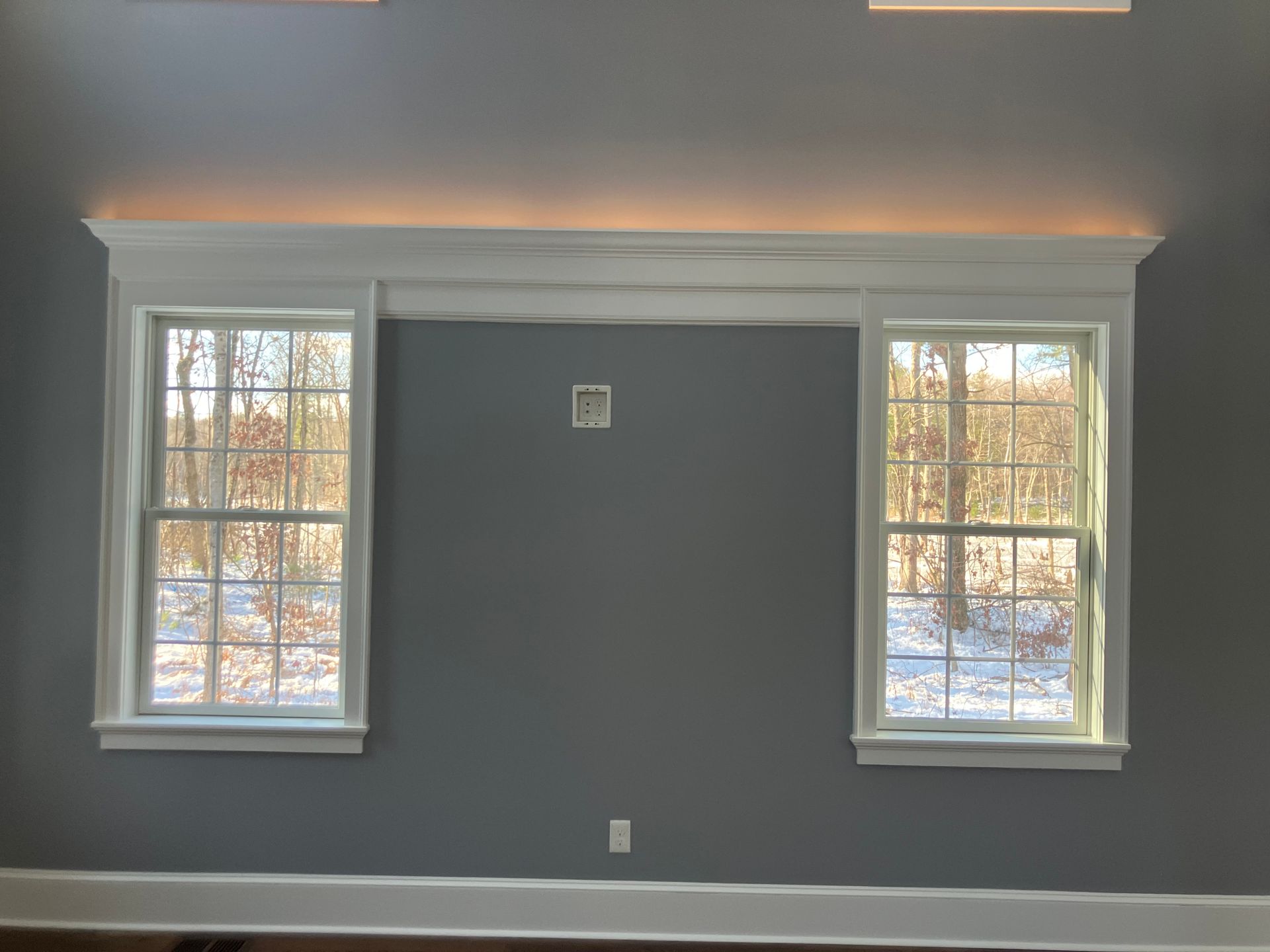 A living room with two windows and a gray wall.