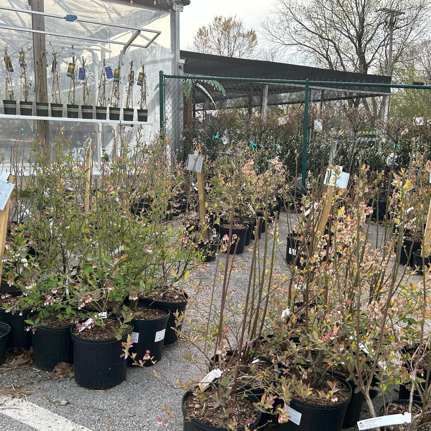 Our Store Green Valley Nursery & Landscaping