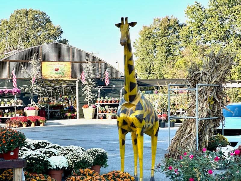 Our Store Green Valley Nursery & Landscaping