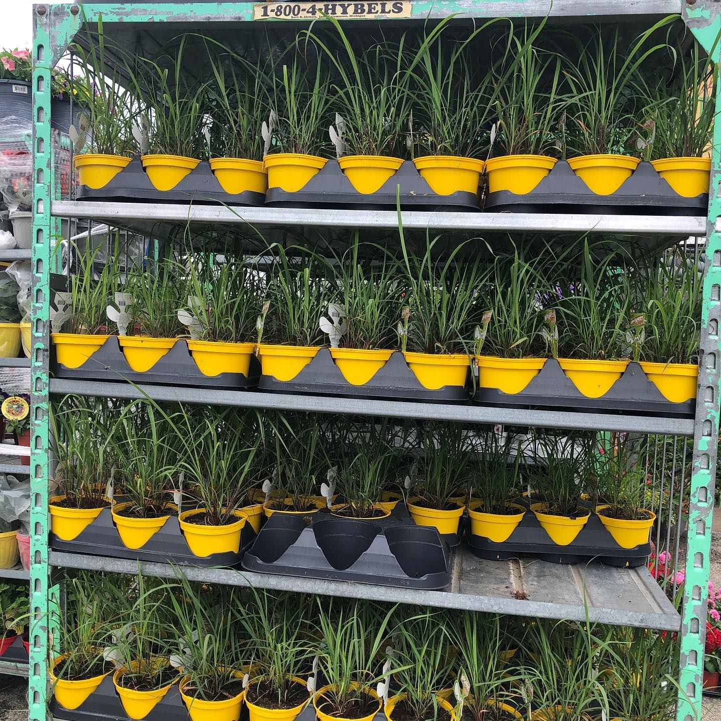 Our Store Green Valley Nursery & Landscaping