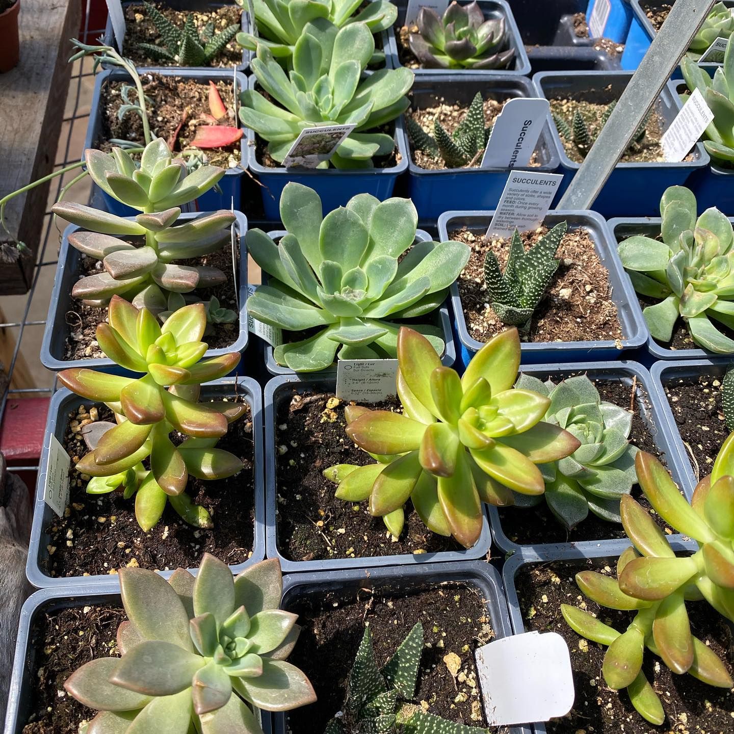 Gallery Green Valley Nursery & Landscaping