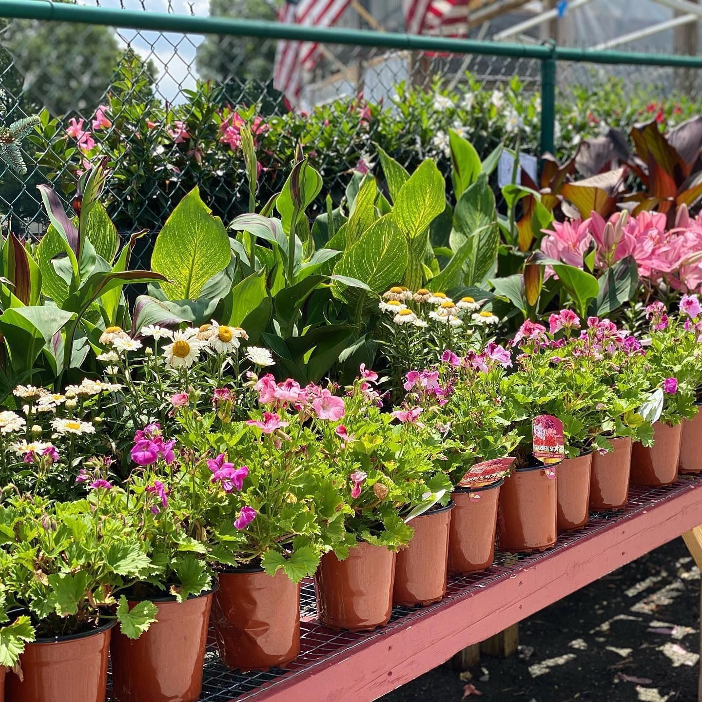 Gallery Green Valley Nursery & Landscaping