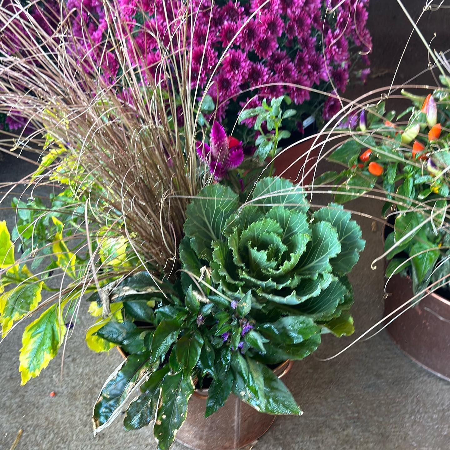 Gallery Green Valley Nursery & Landscaping