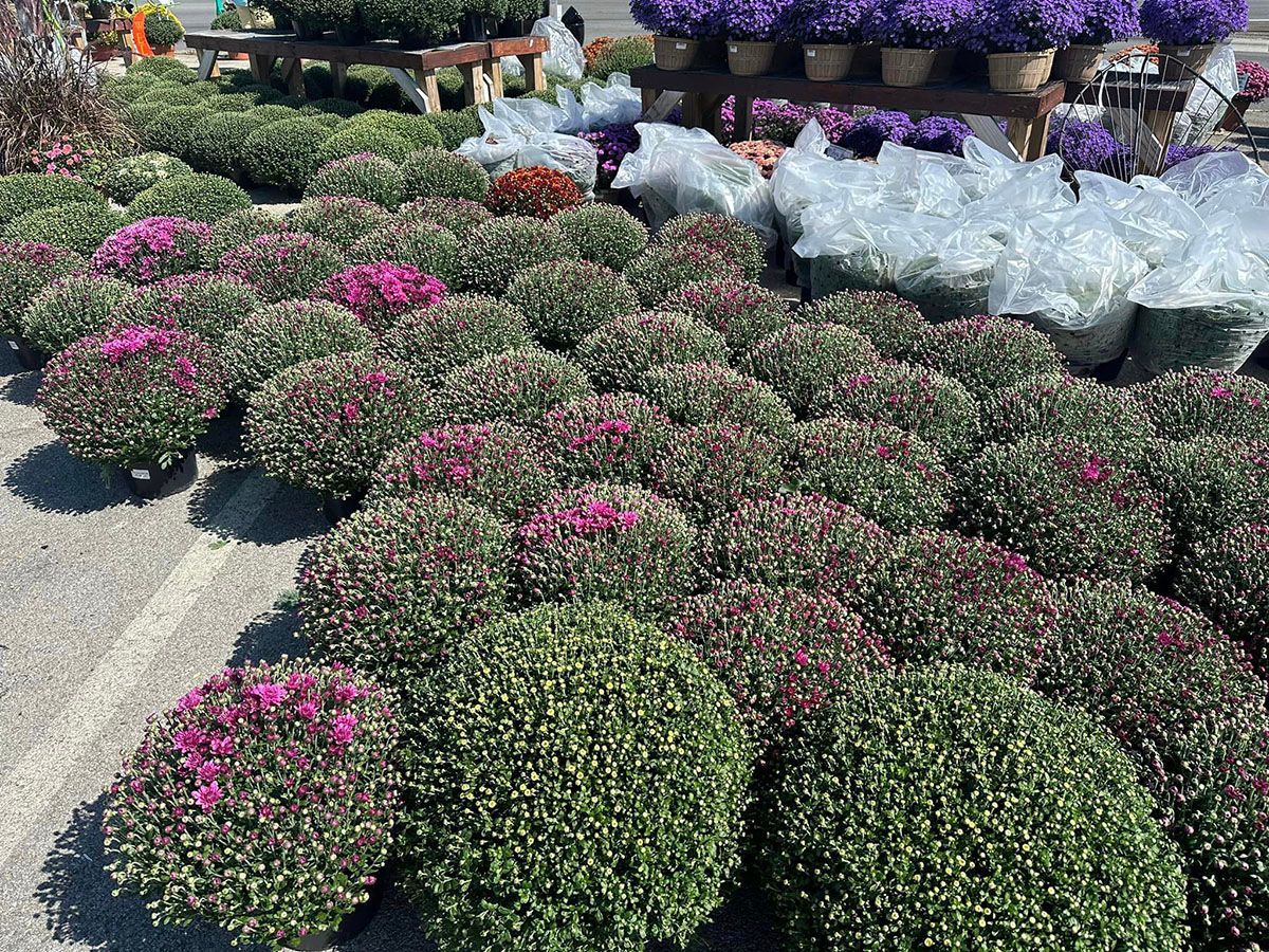 Gallery Green Valley Nursery & Landscaping