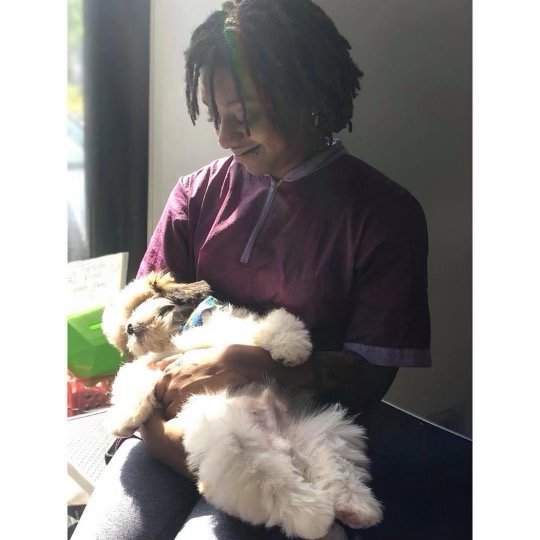 Dog & Cat Grooming Millersville, Bowie, Crofton, Ft. Meade & Odenton, MD