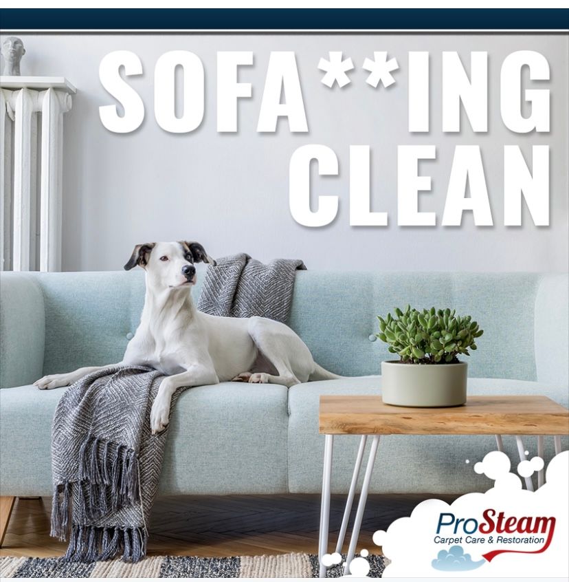 Before/After Gallery Pro Steam Carpet Care & Restoration