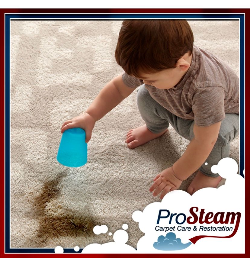 Before/After Gallery Pro Steam Carpet Care & Restoration