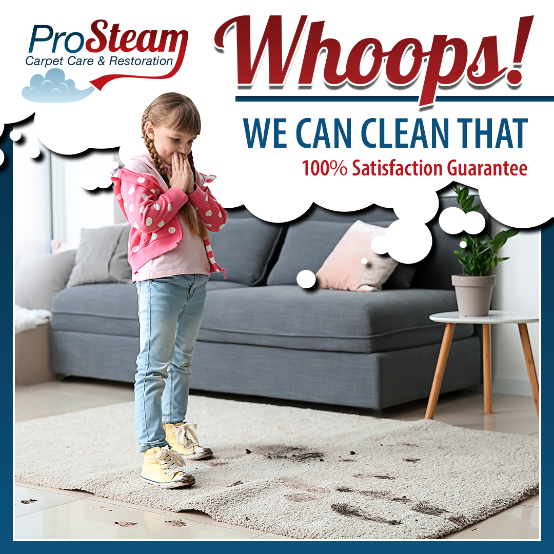 Before/After Gallery Pro Steam Carpet Care & Restoration