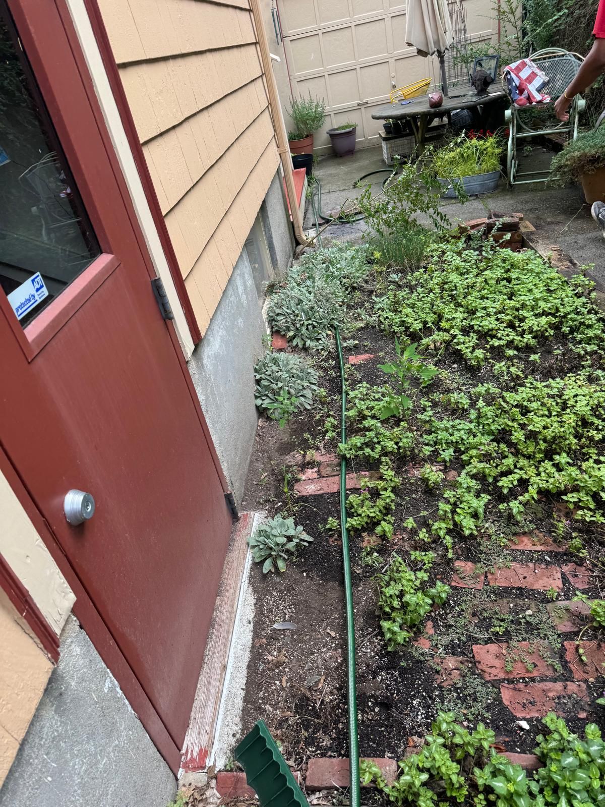 Red door opening to a garden bed along the side of a building, with ground cover and partial brick path.