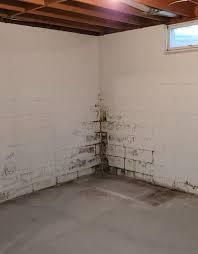 Interior corner of a concrete block basement wall with water staining and mold growth near the floor and wall junction.