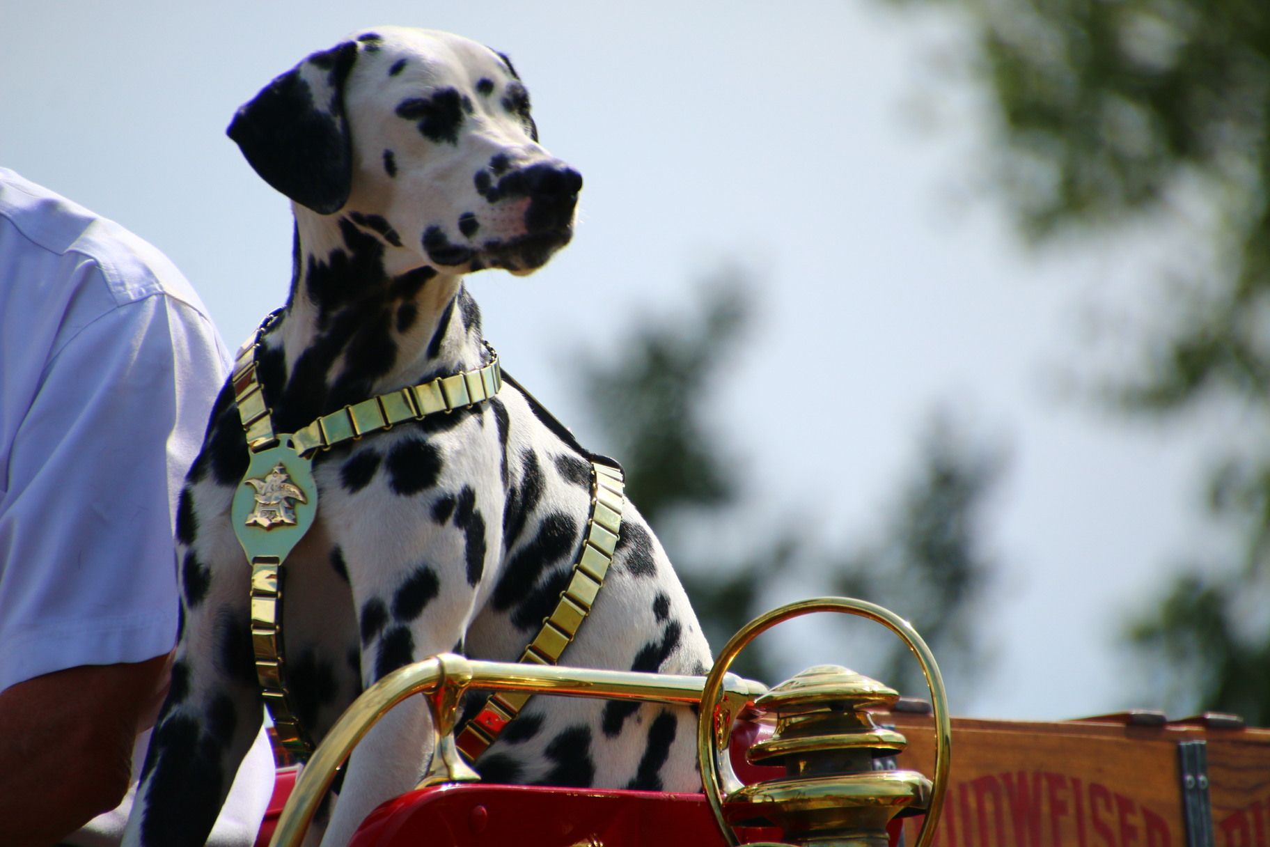 Liquor Store Brooks Retail Liquor Store Salina, KS
