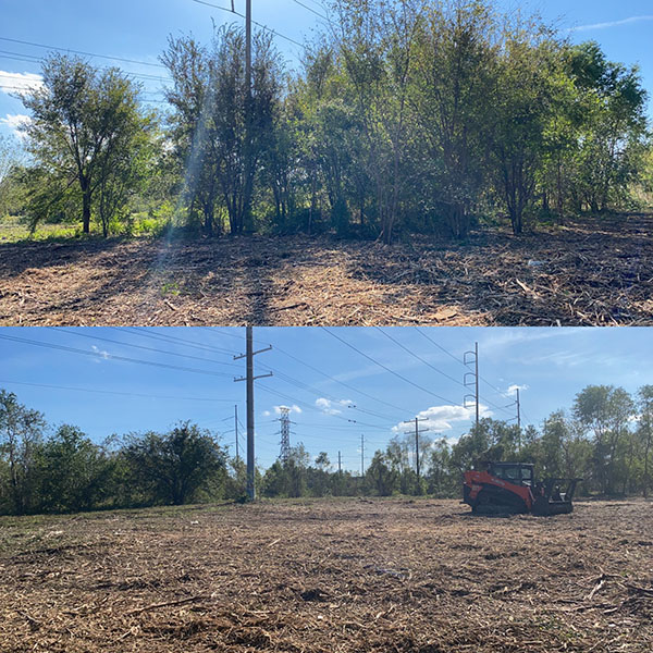 Our Work Gallery Shredded Land Clearing LLC