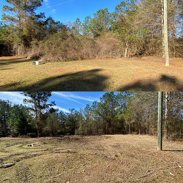 Our Work Gallery Shredded Land Clearing LLC