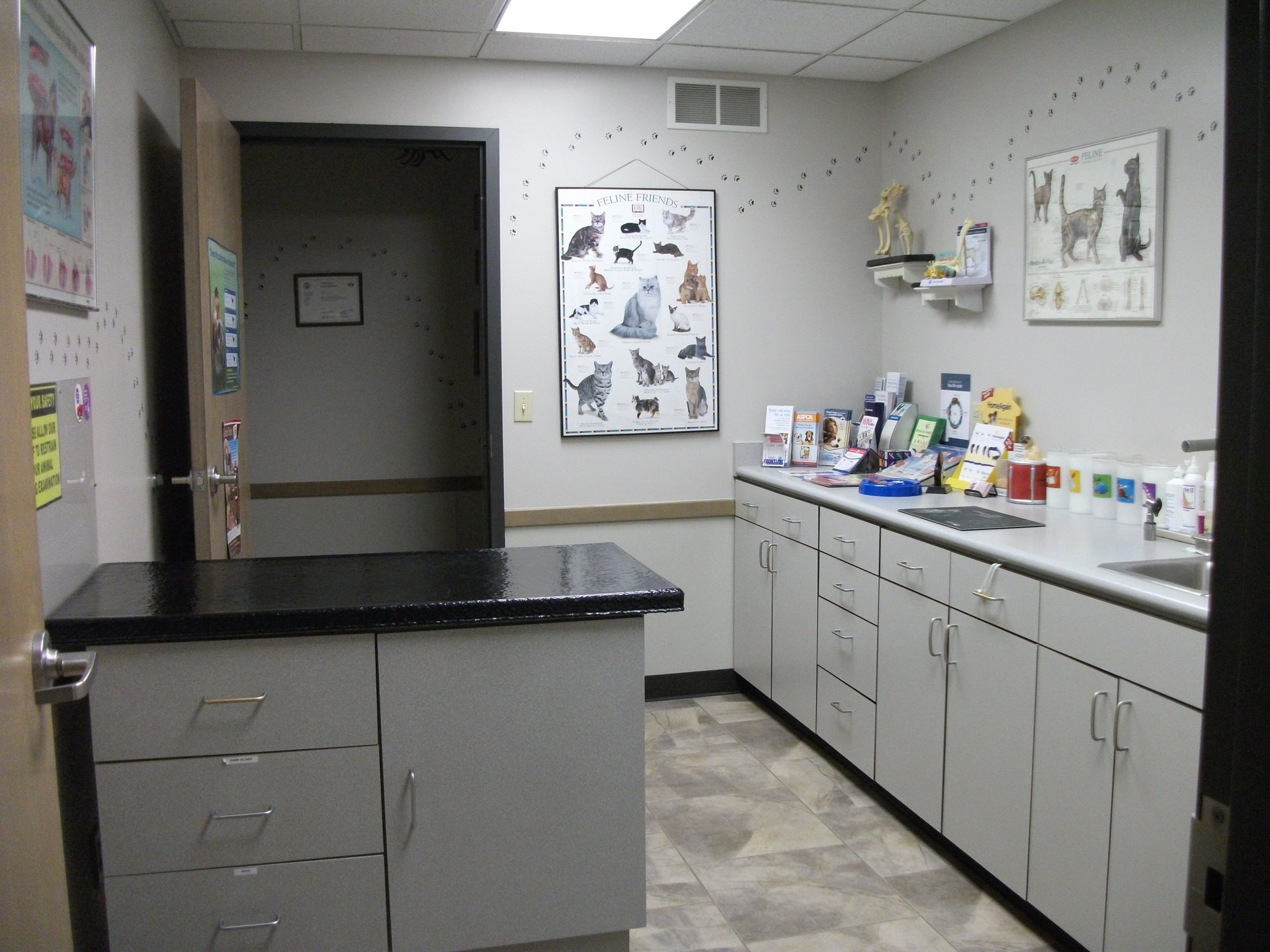 All Pets Veterinary Clinic Tour Gallery IL