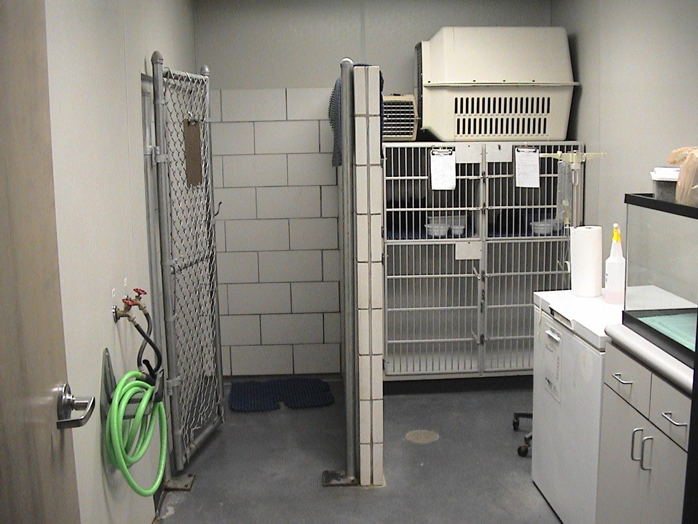 All Pets Veterinary Clinic Tour Gallery IL