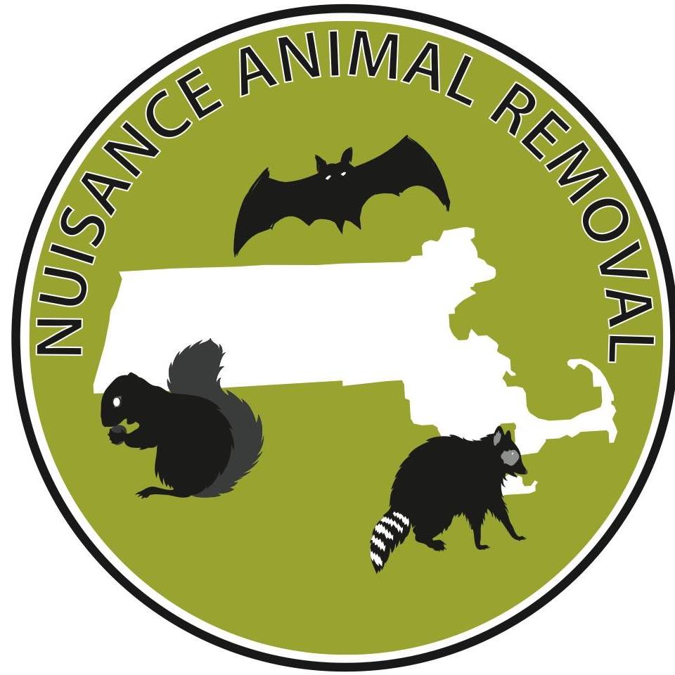 Wildlife Removal Easton, MA Mansfield, MA