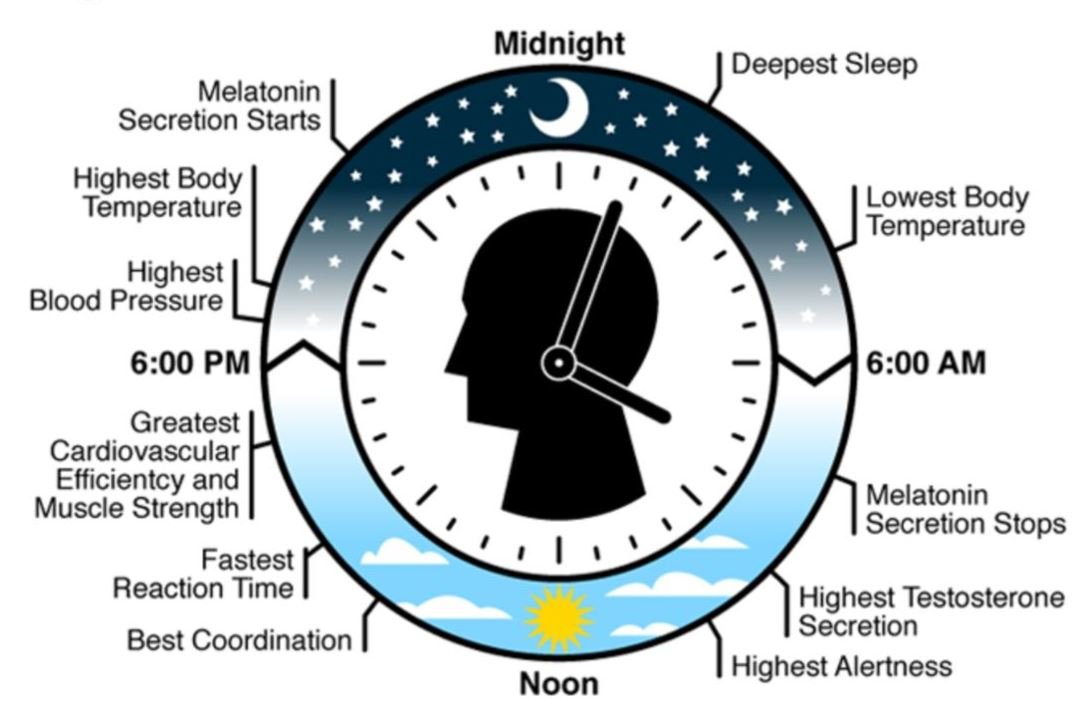 Benefits of Daylighting in Architecture