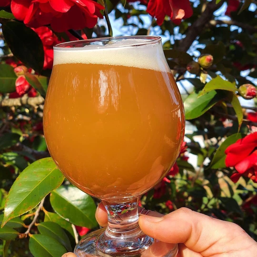 Lost Spring Brewing Company Cocktails Ocean Springs MS