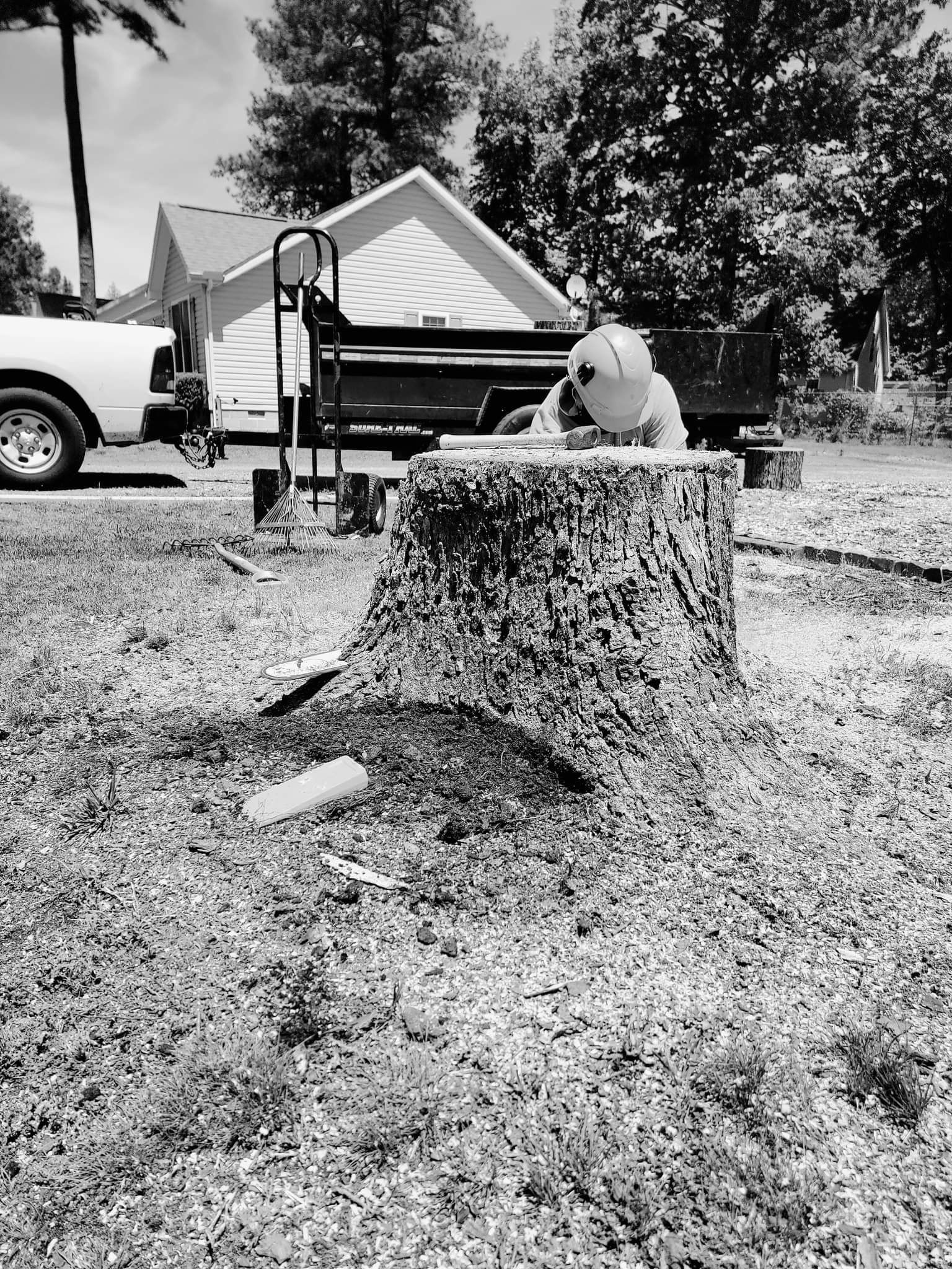 Storm Damage Restoration Salisbury, MD THAT Tree Guy LLC