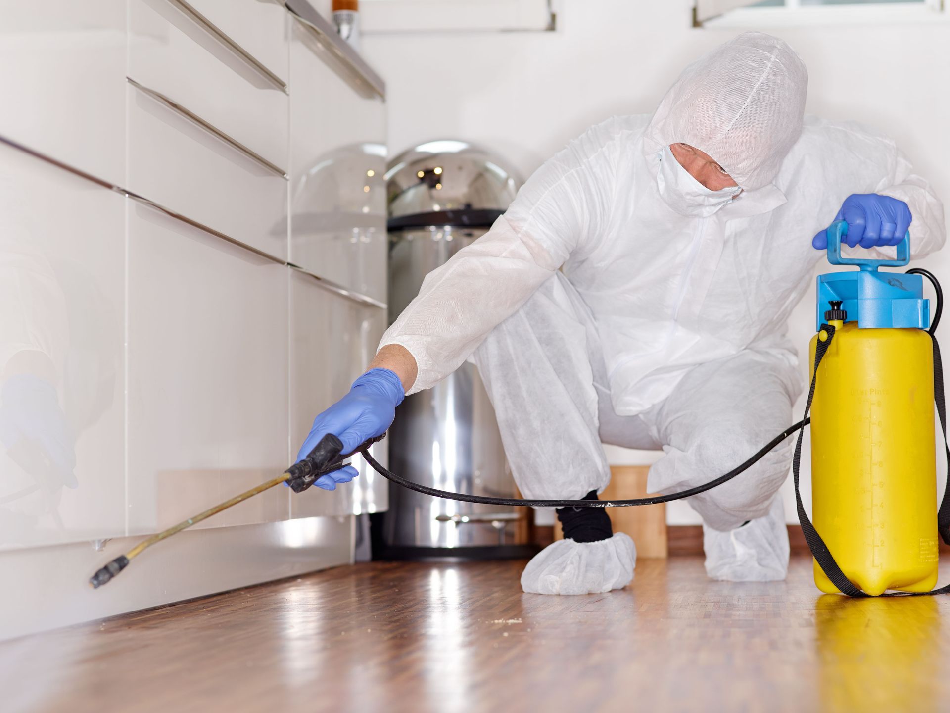 Pest Control | Suffolk County, NY Scientific Pest Management
