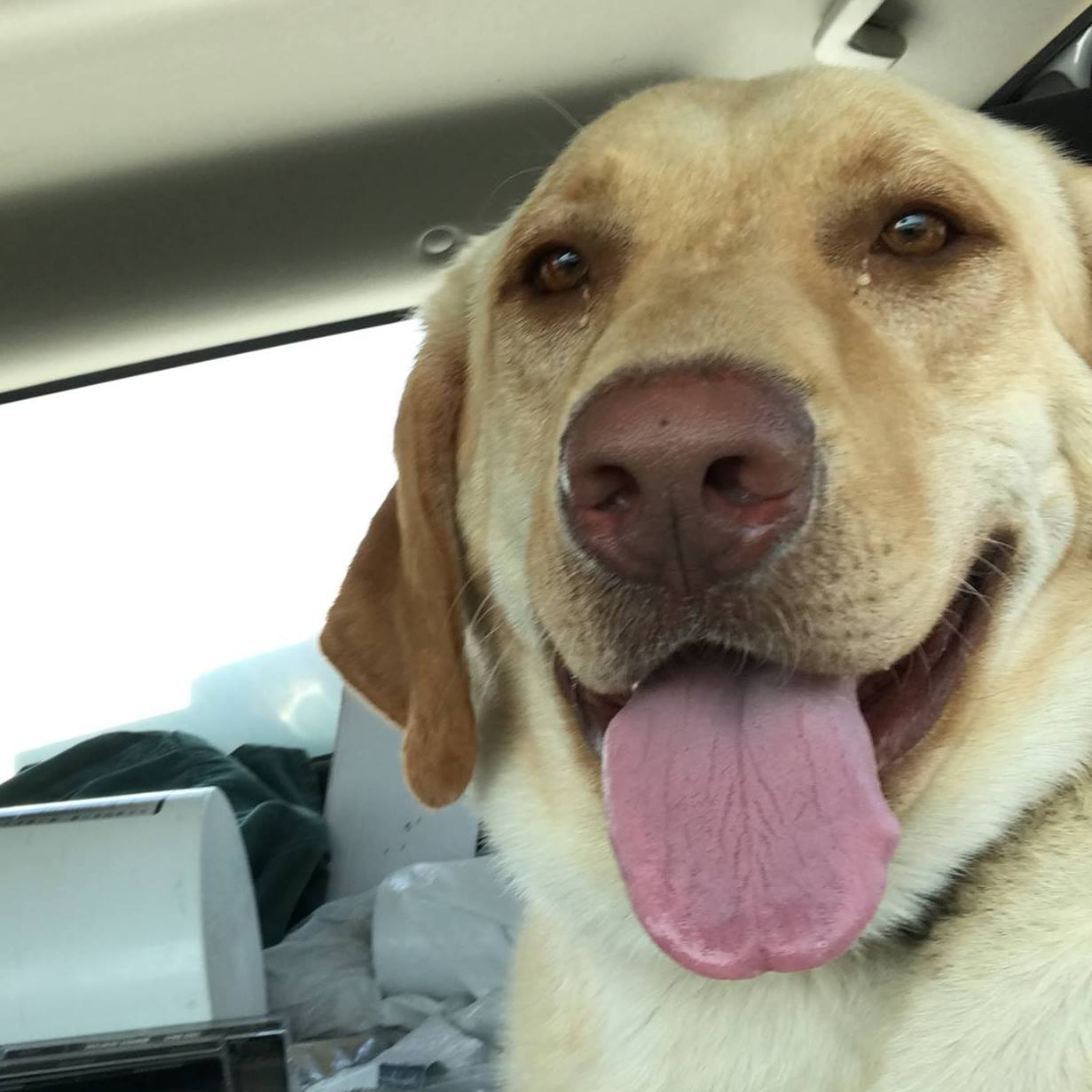 Animal Health Center of Marion County Inc Vets Marion KS