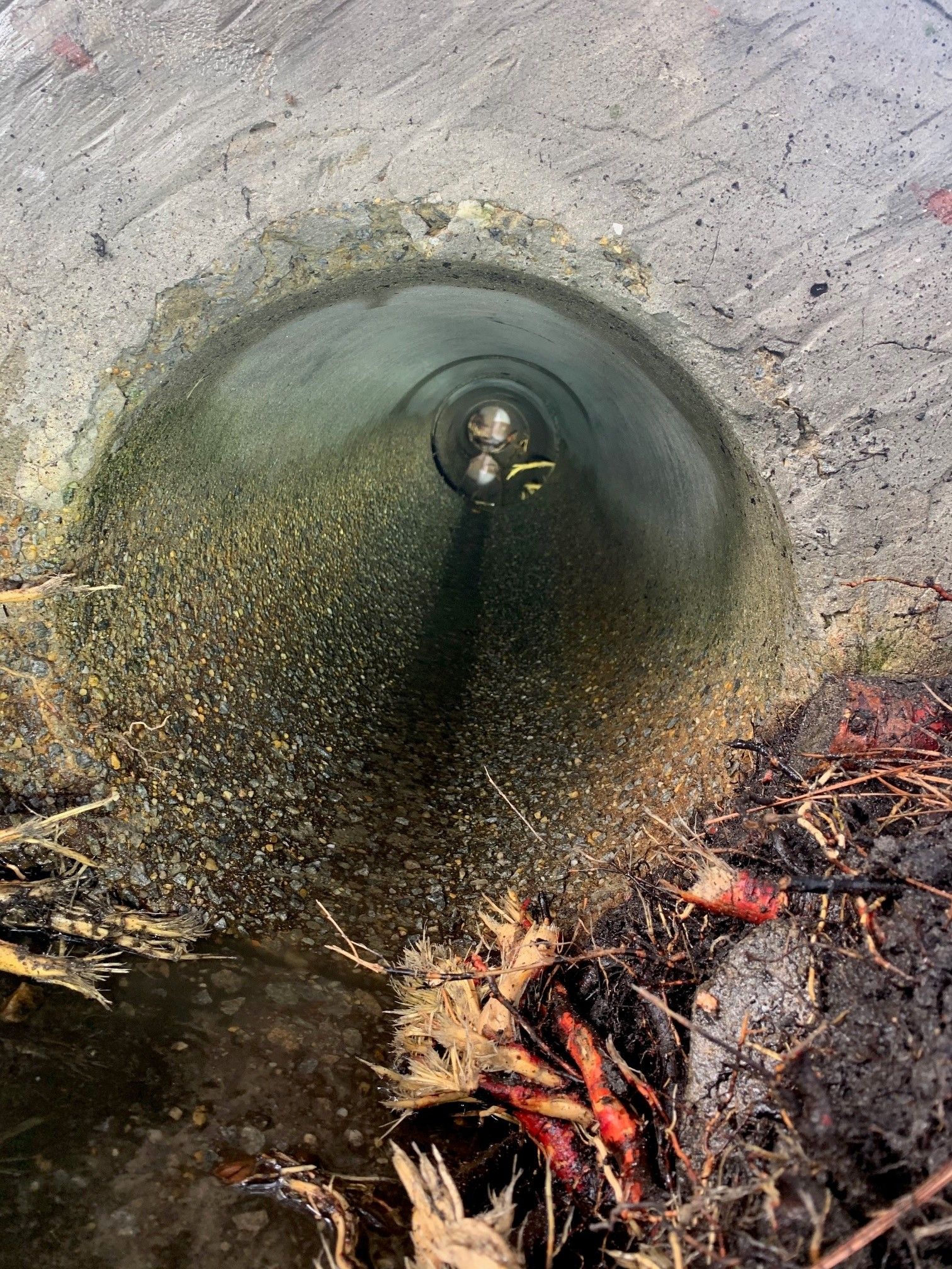 Open drain pipe discharging water into a small muddy stream with wet leaves nearby