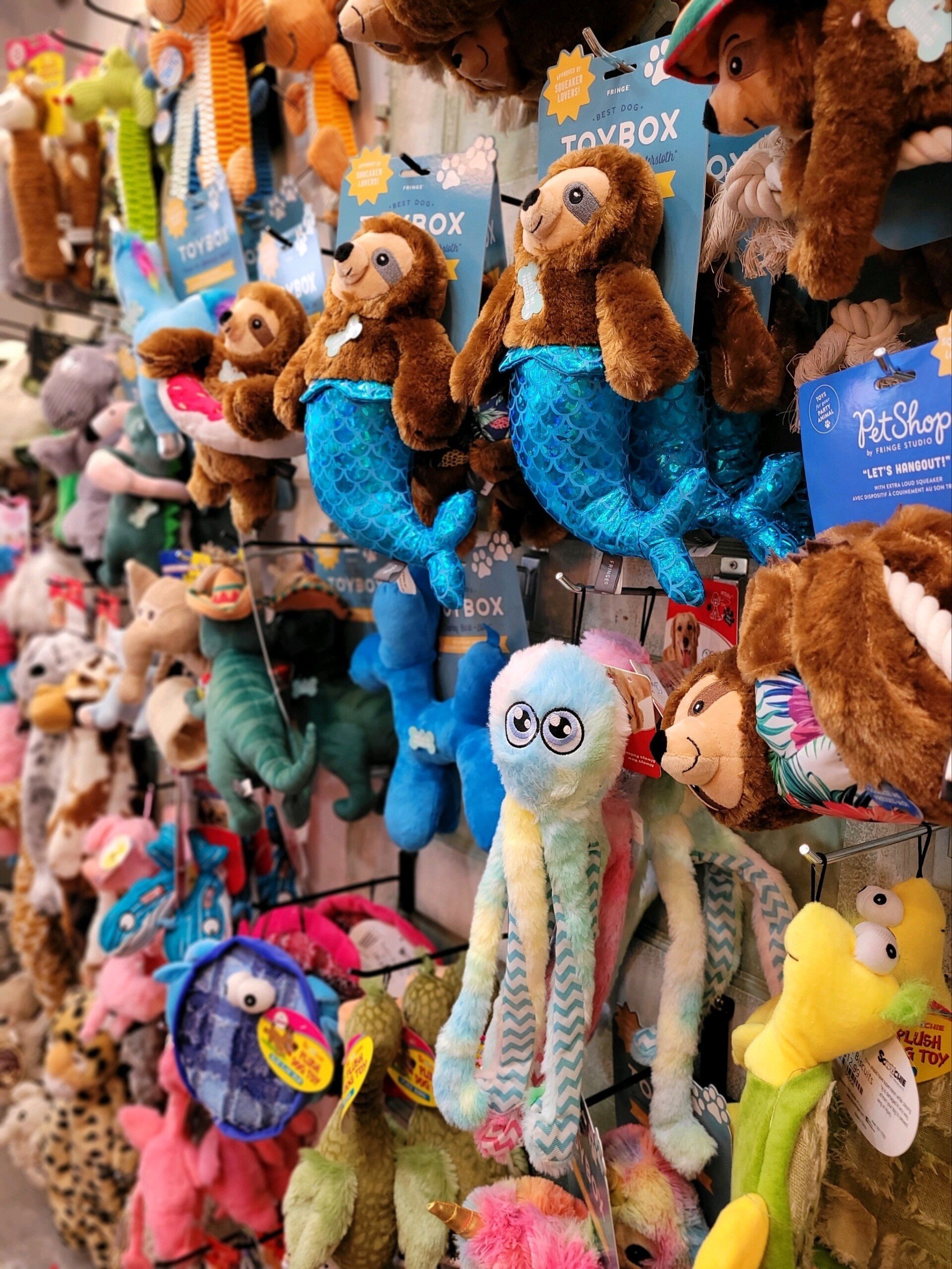 Pet Accessories, Toys, and Supplies Fargo, ND