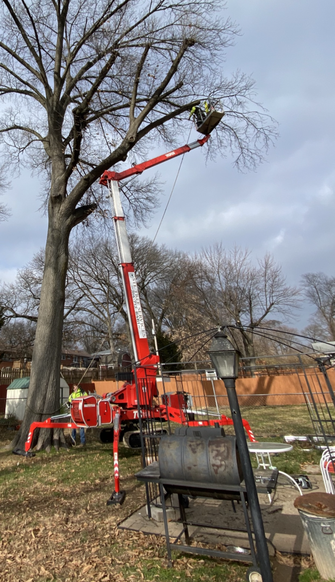 A man is cutting a tree with a crane in a backyard.