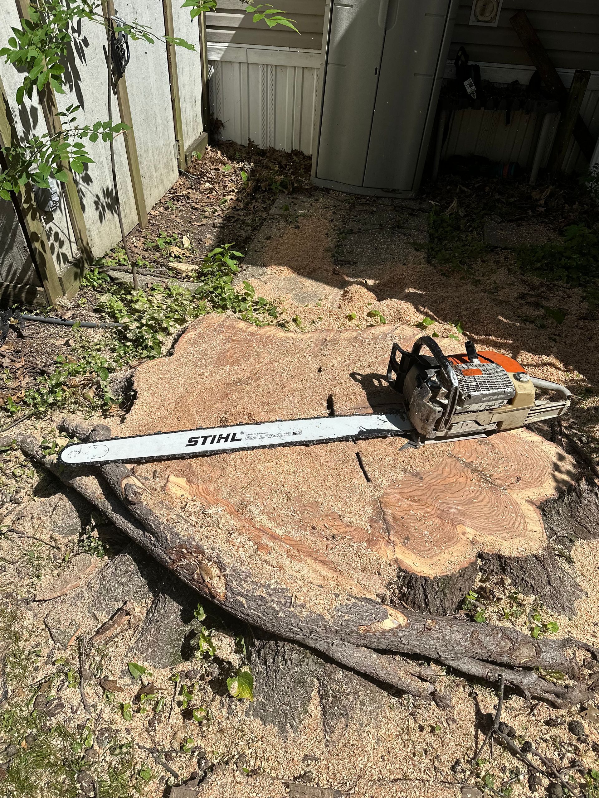 A chainsaw is sitting on top of a tree stump.