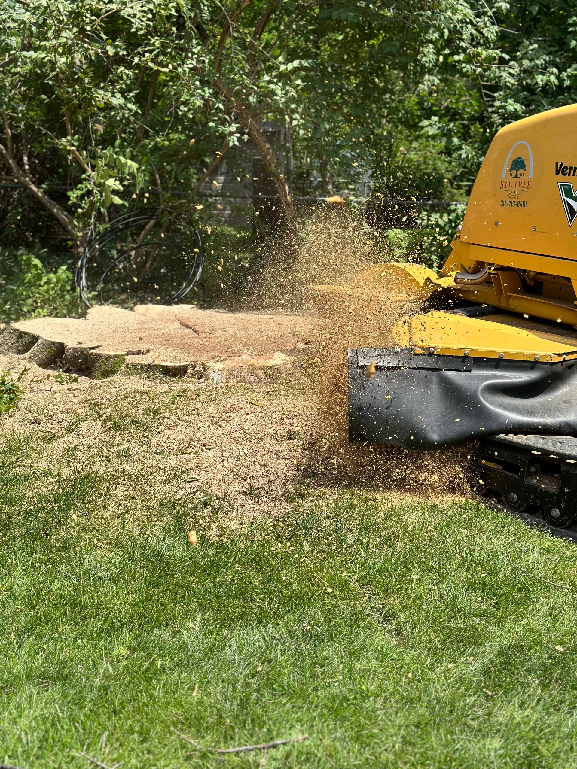 A yellow stump grinder is cutting a tree stump in the grass.