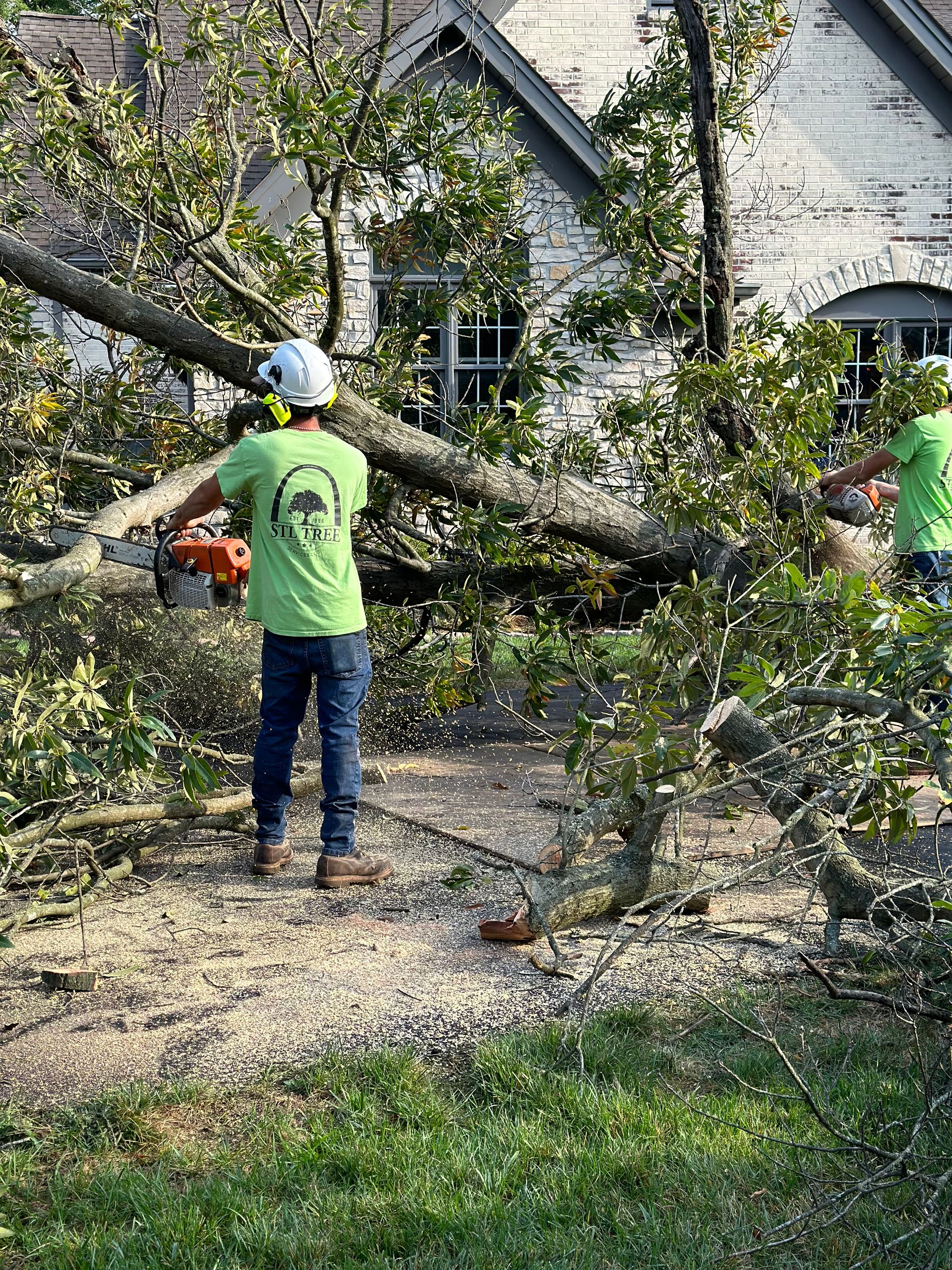 A man is cutting a tree with a chainsaw in front of a house.