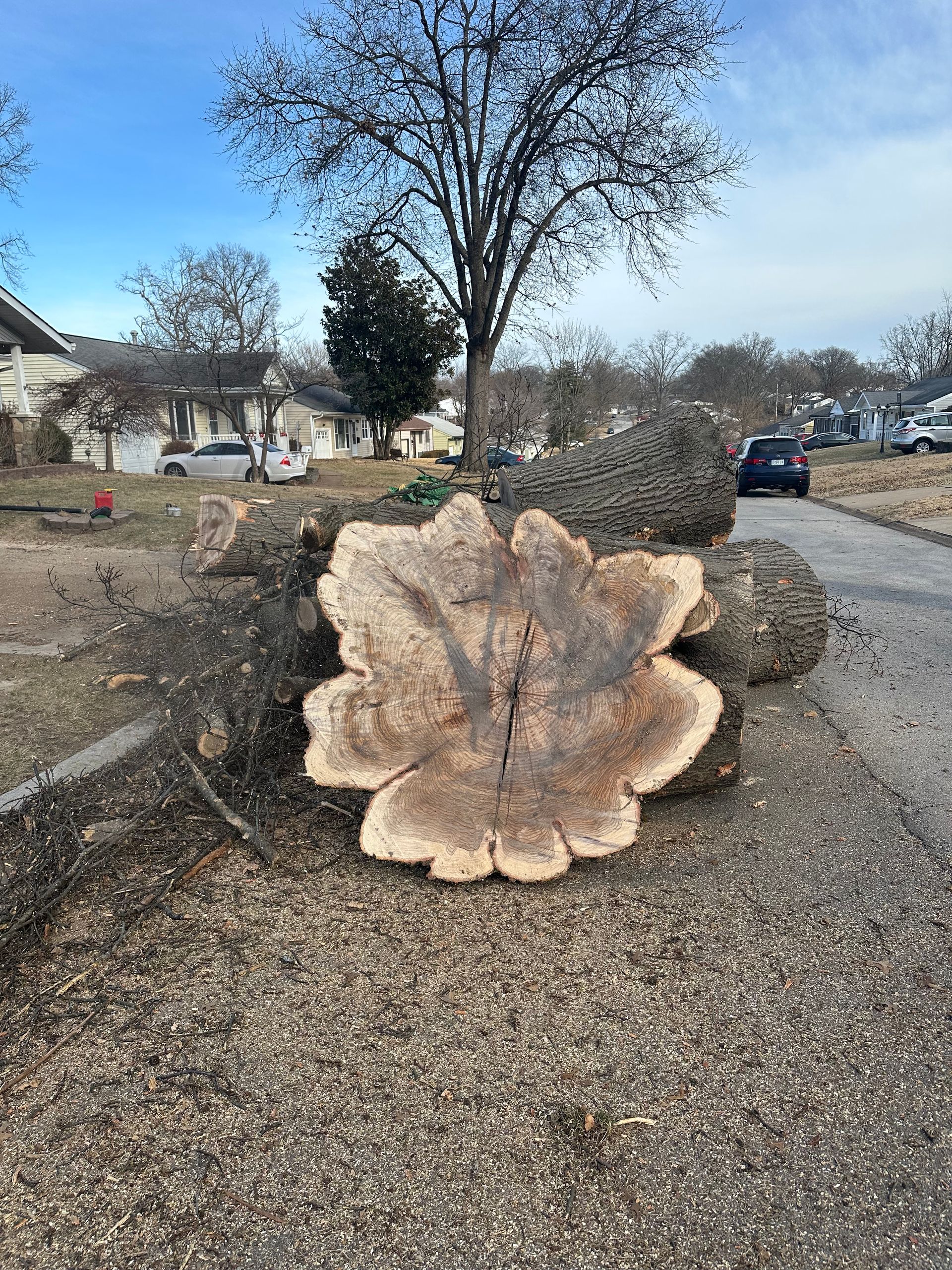 A large tree stump is sitting on the side of the road.