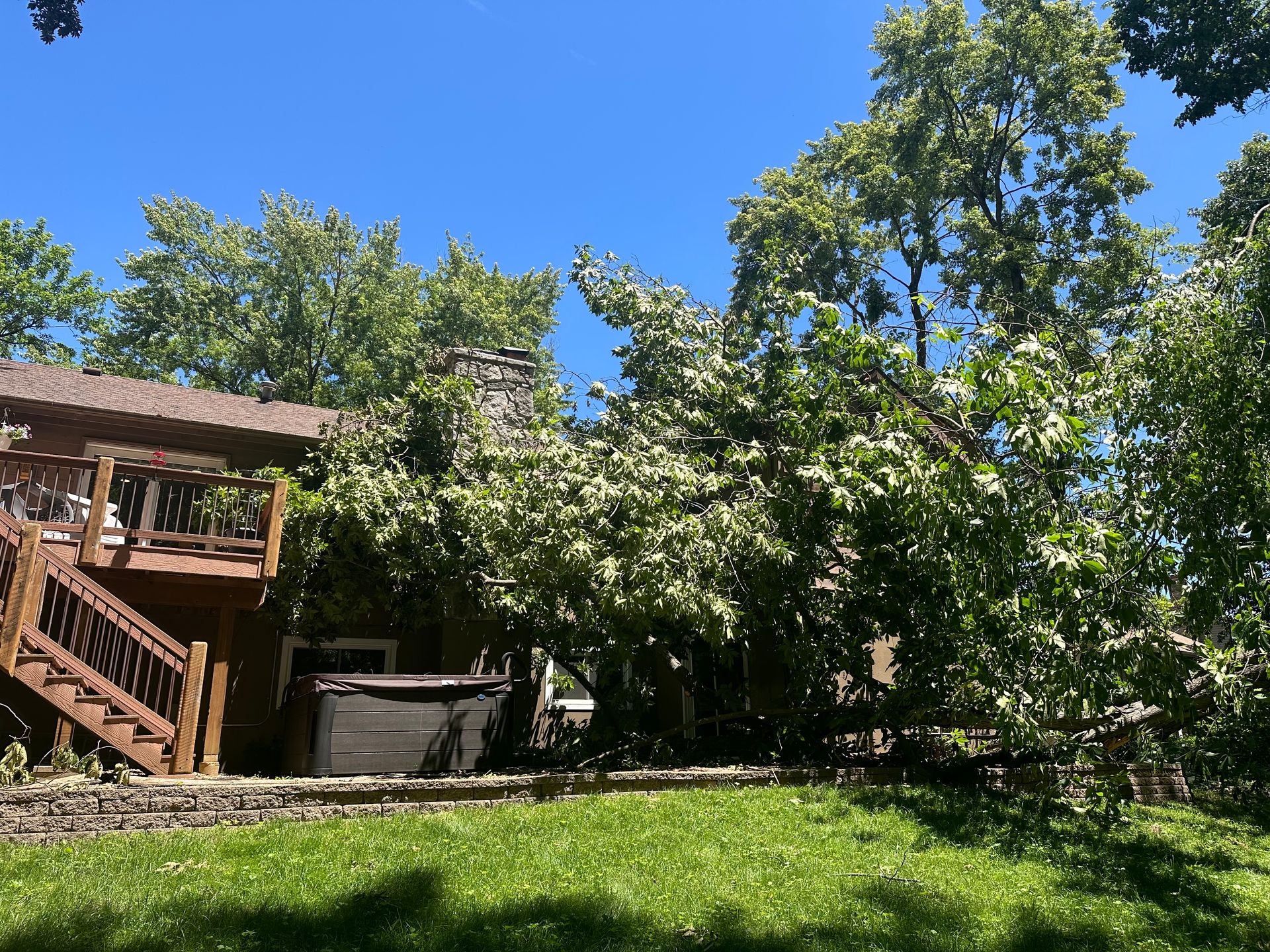 A house with a hot tub in the backyard surrounded by trees.