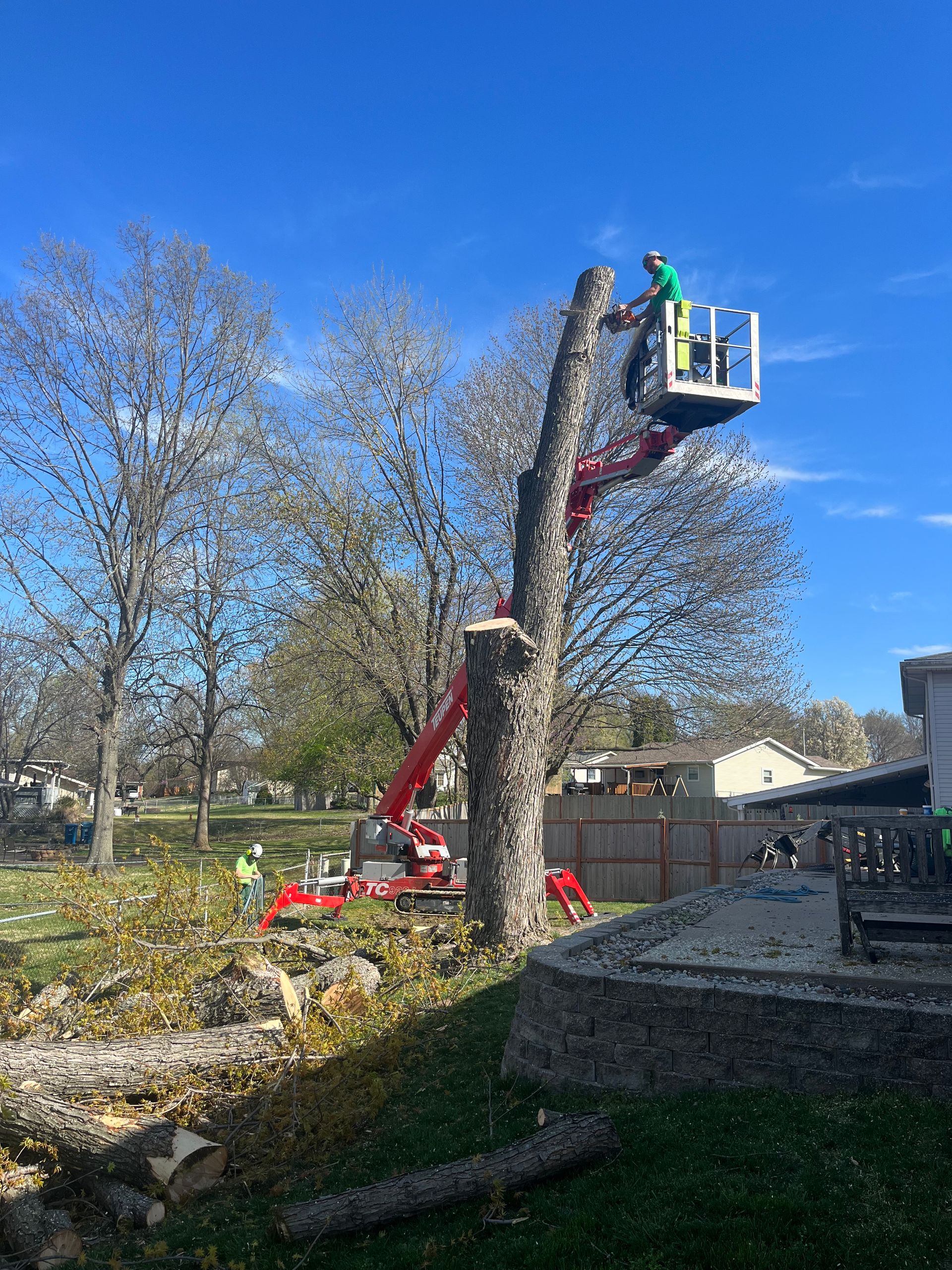 A man is cutting down a tree with a crane.