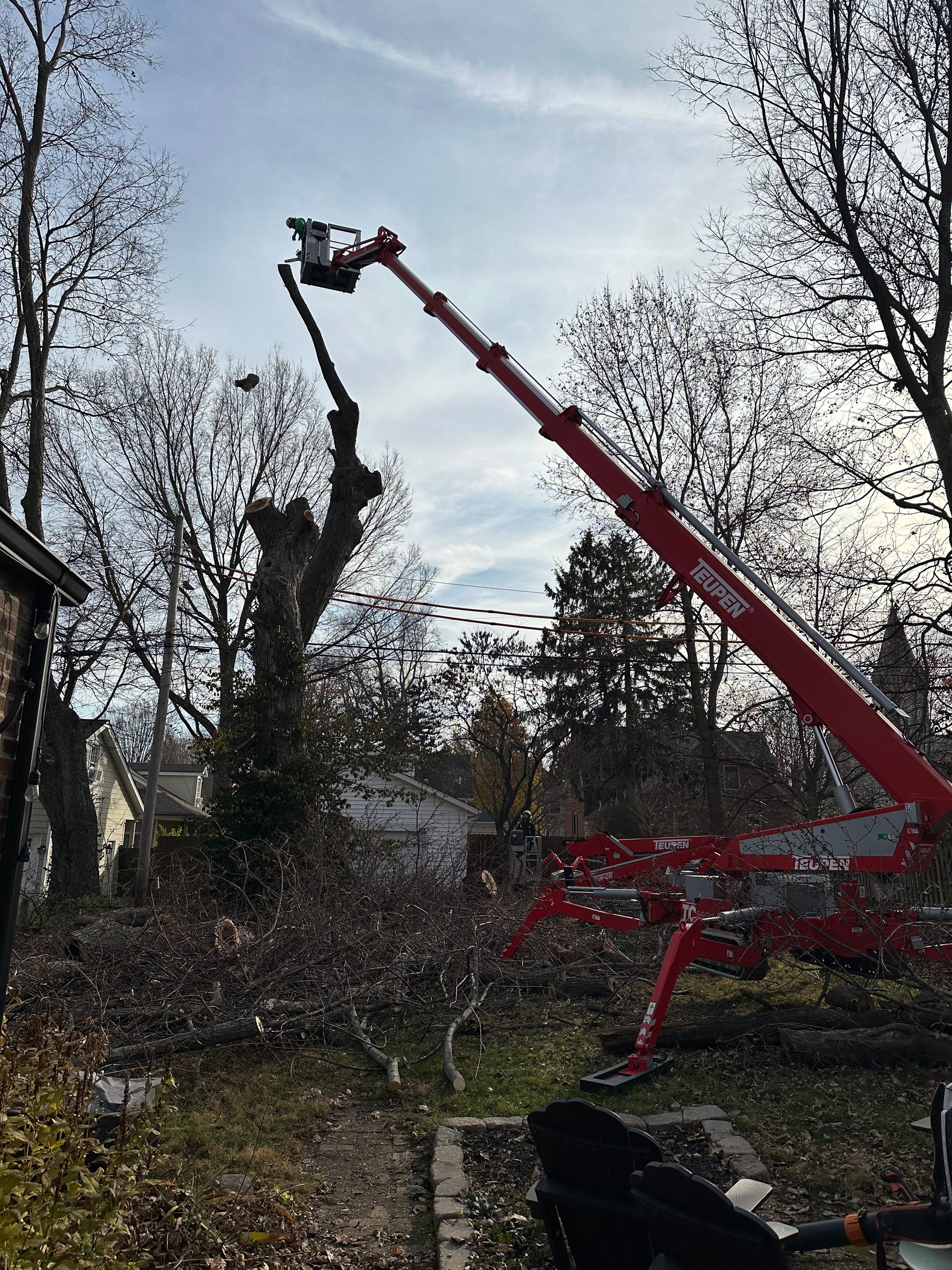 A red crane is cutting a tree in a yard.