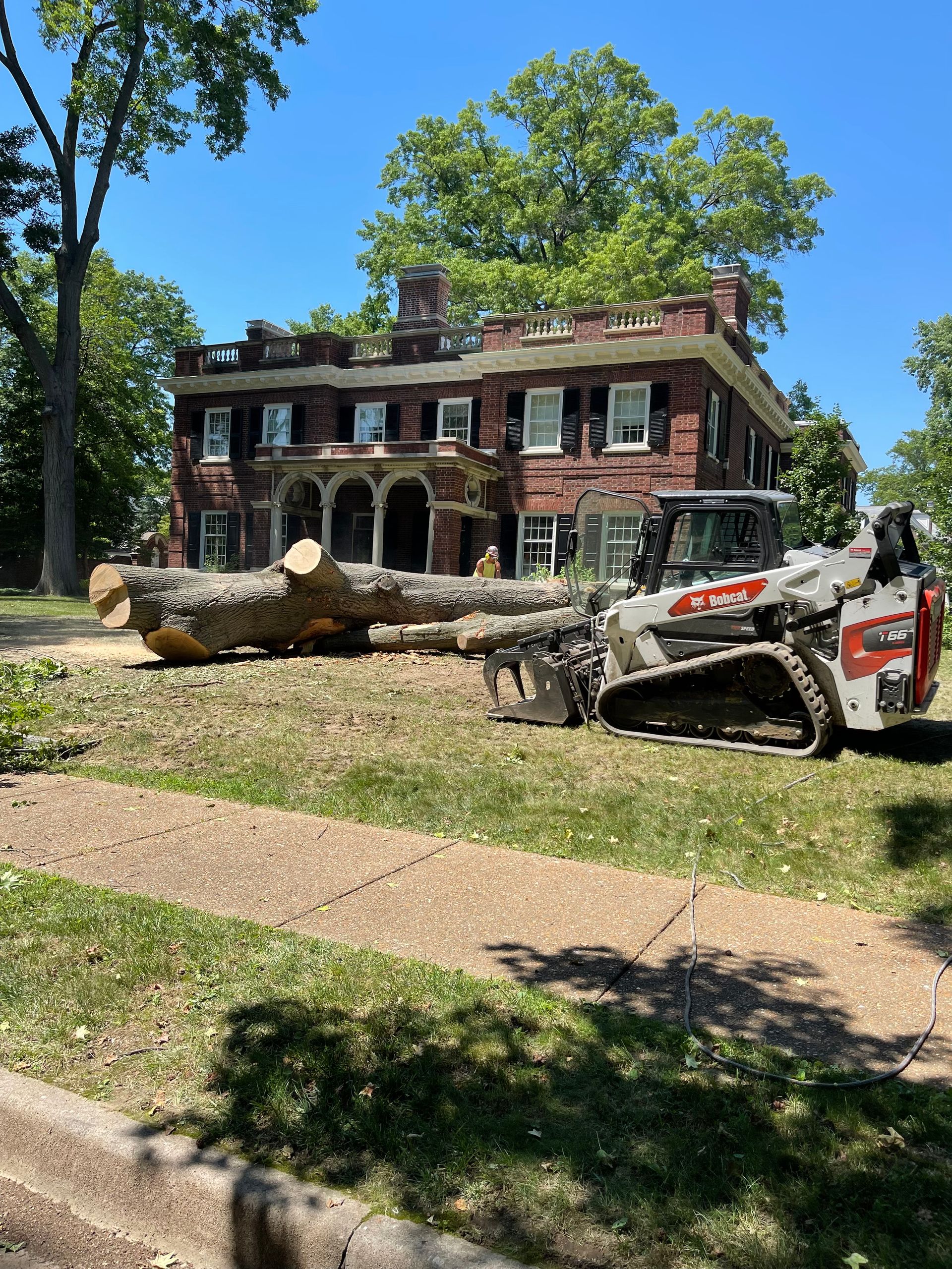 A bobcat is cutting down a tree in front of a large brick building.