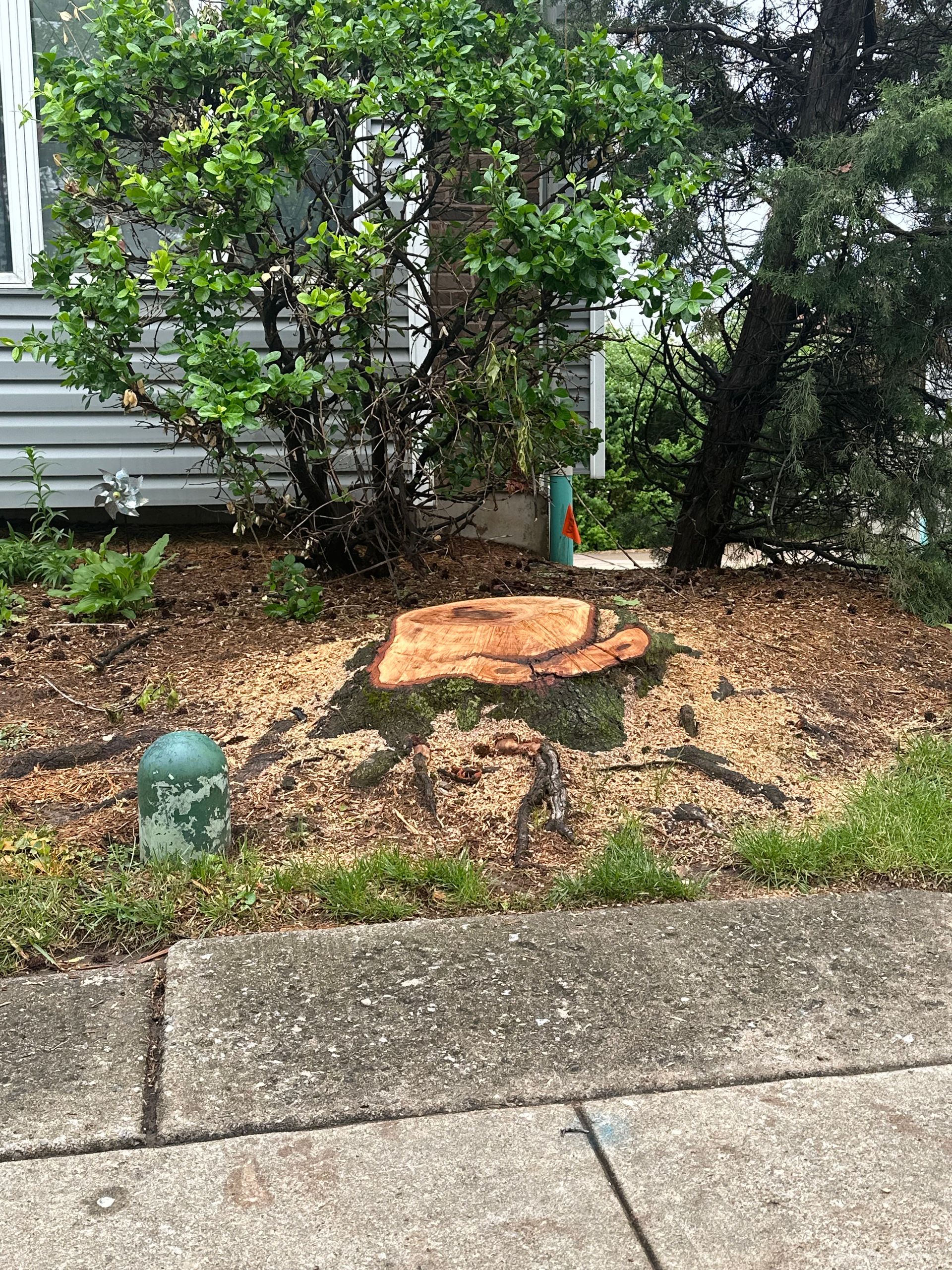 A tree stump is sitting on the sidewalk in front of a house.