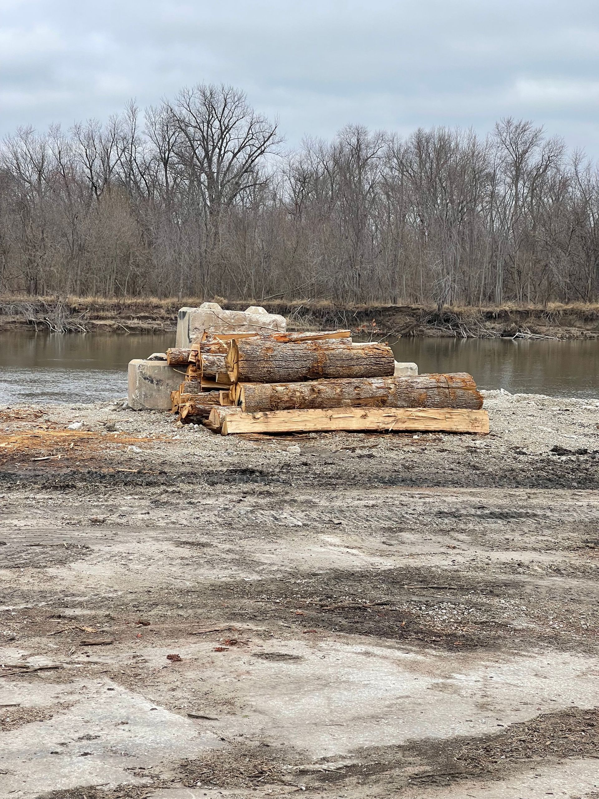 A pile of logs sitting on top of a dirt field next to a body of water.