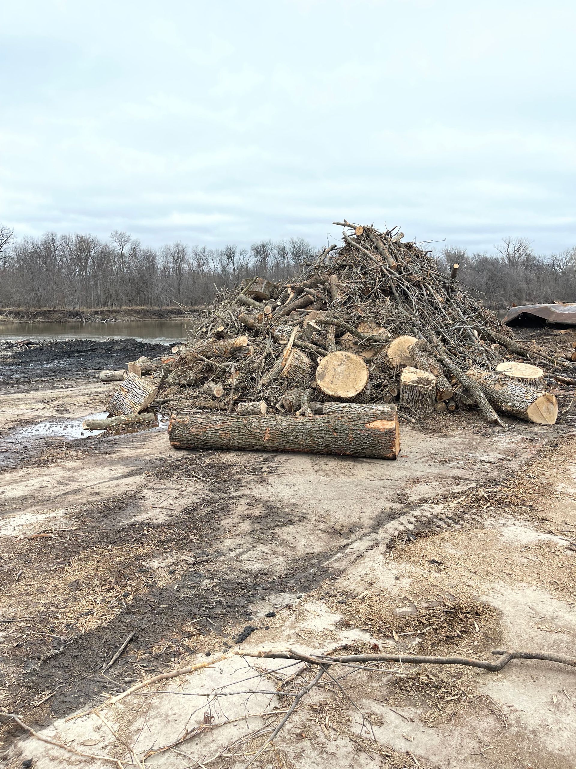 A pile of logs sitting on top of a dirt field.