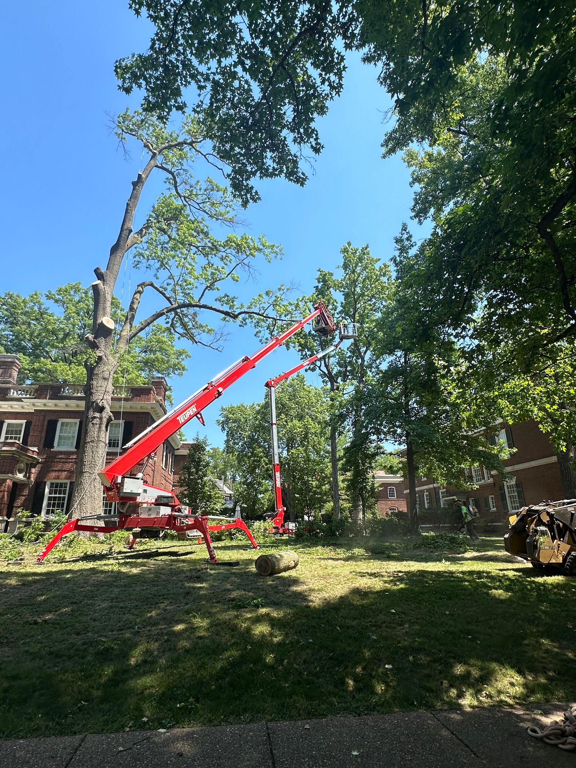 A crane is cutting a tree in front of a house