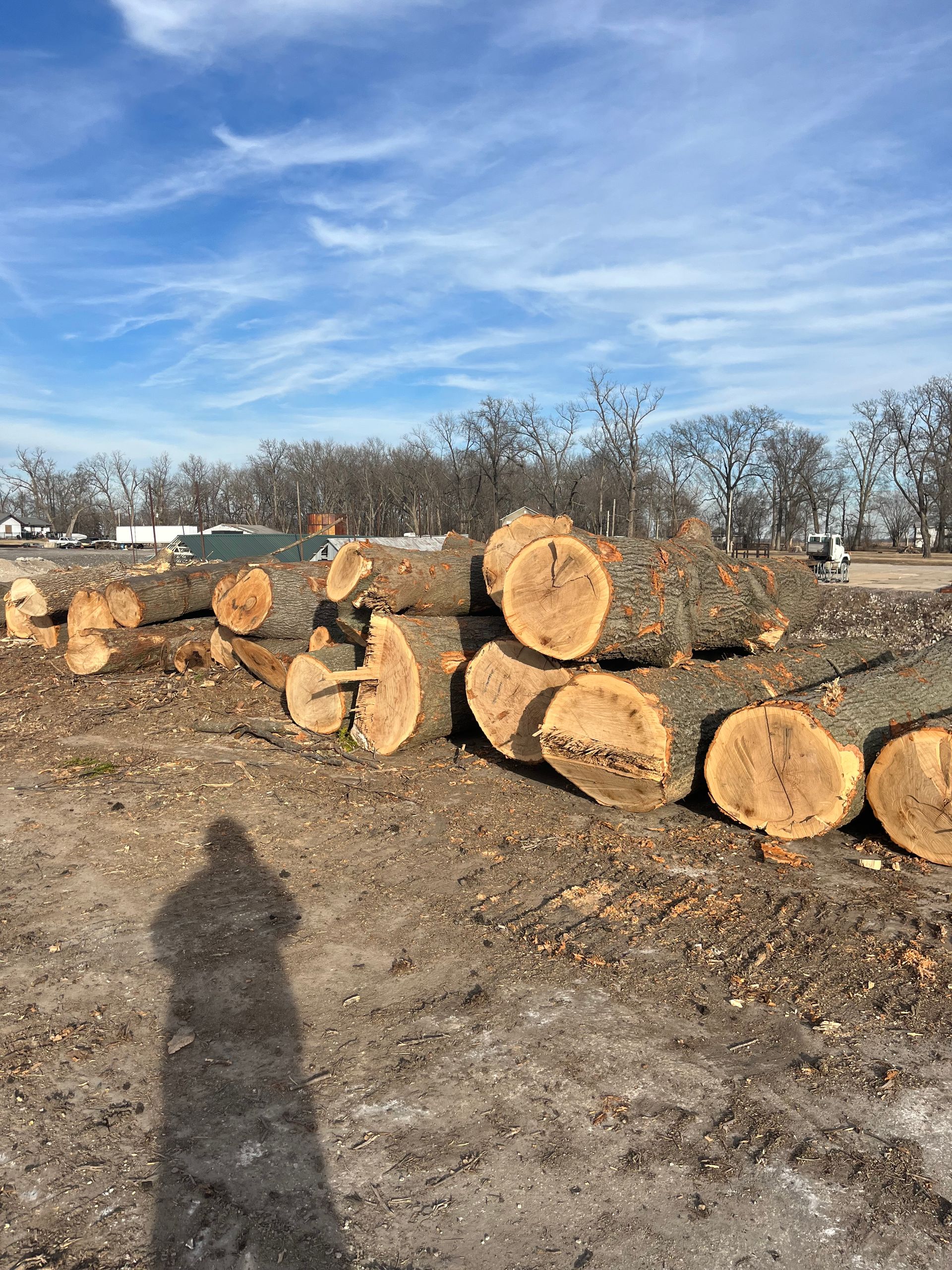 A pile of logs sitting on top of each other in a field.