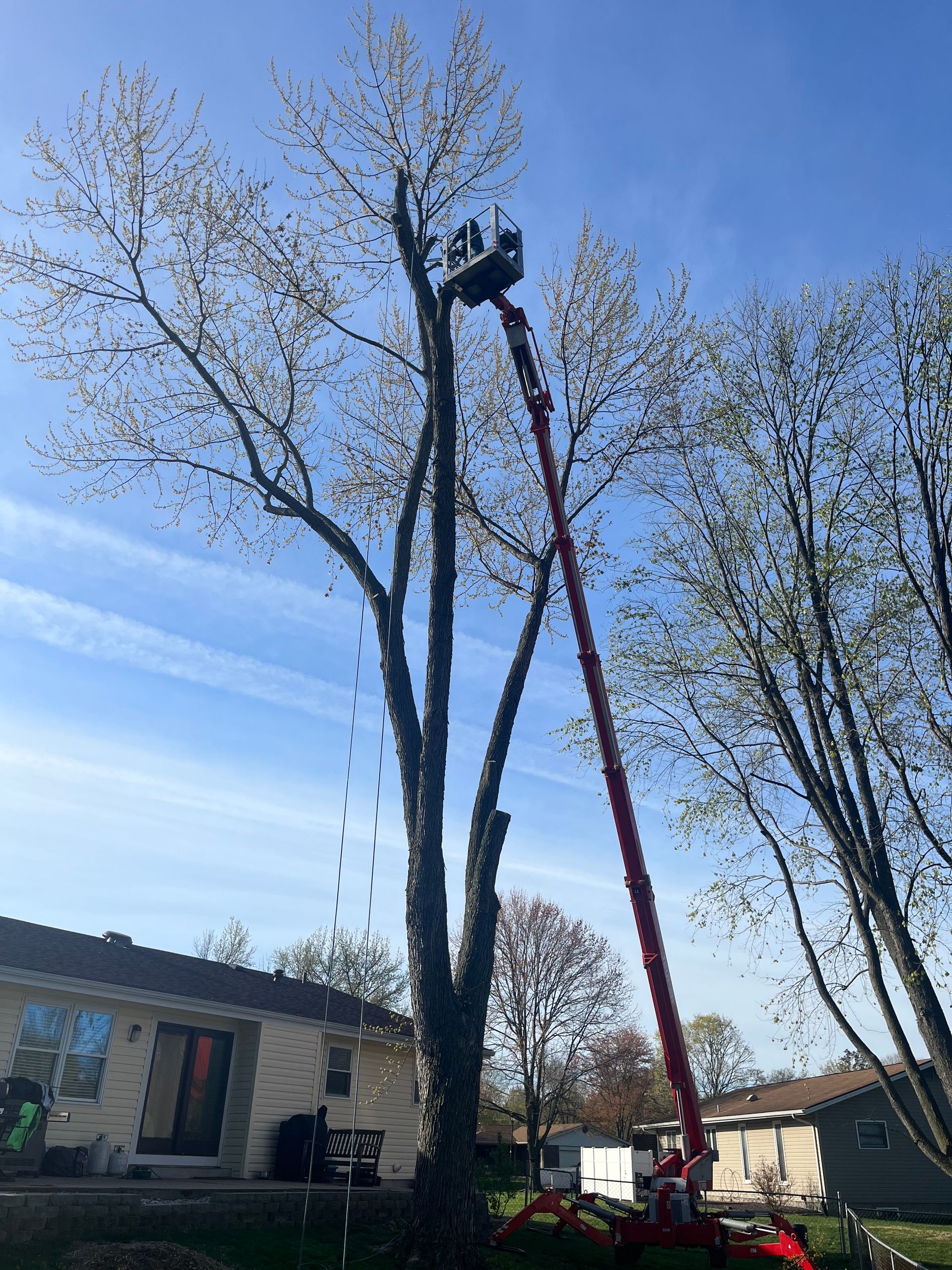 A man is cutting a tree with a crane in front of a house.