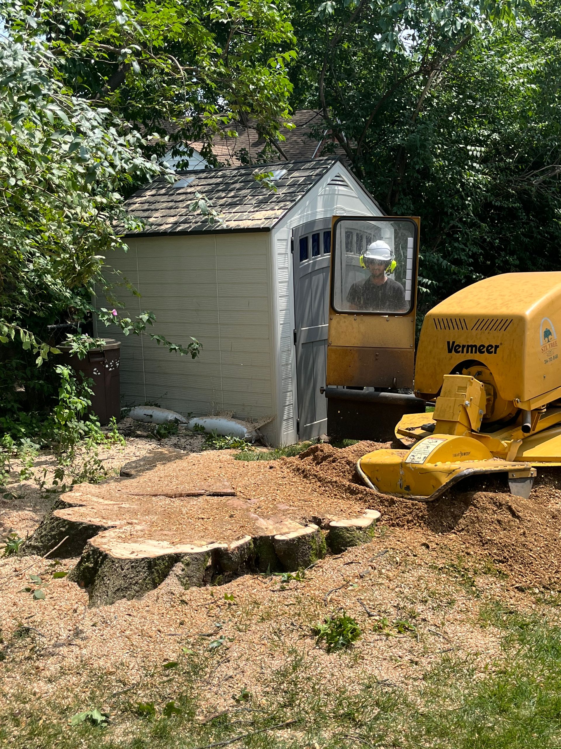 A large tree stump is being removed by a stump grinder.