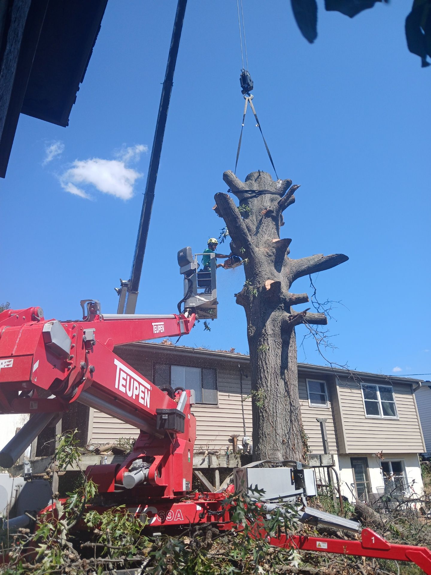 A crane is lifting a tree in front of a house.