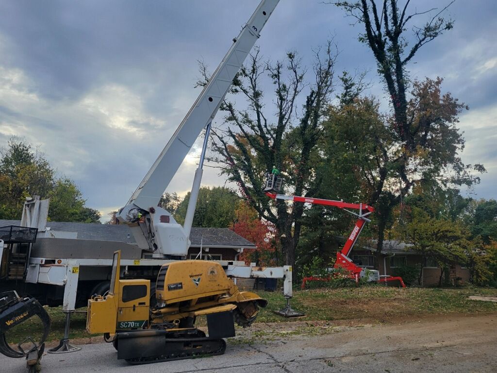 A crane is cutting a tree in front of a house.